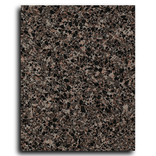 Cubierta Estrella Negra